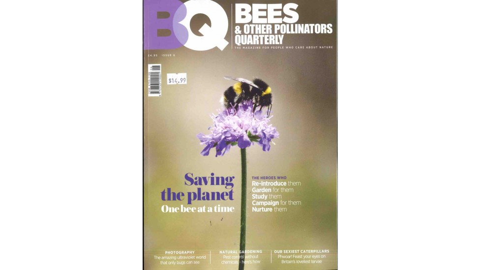 BEES & OTHER POLLINATORS QUARTERLY 